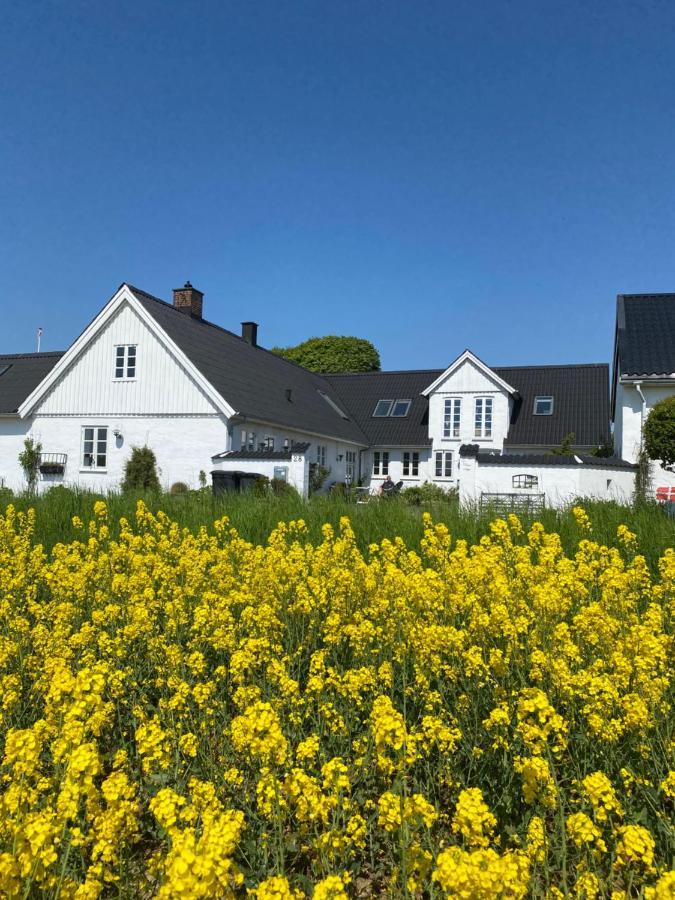 Vejle Golf Apartament