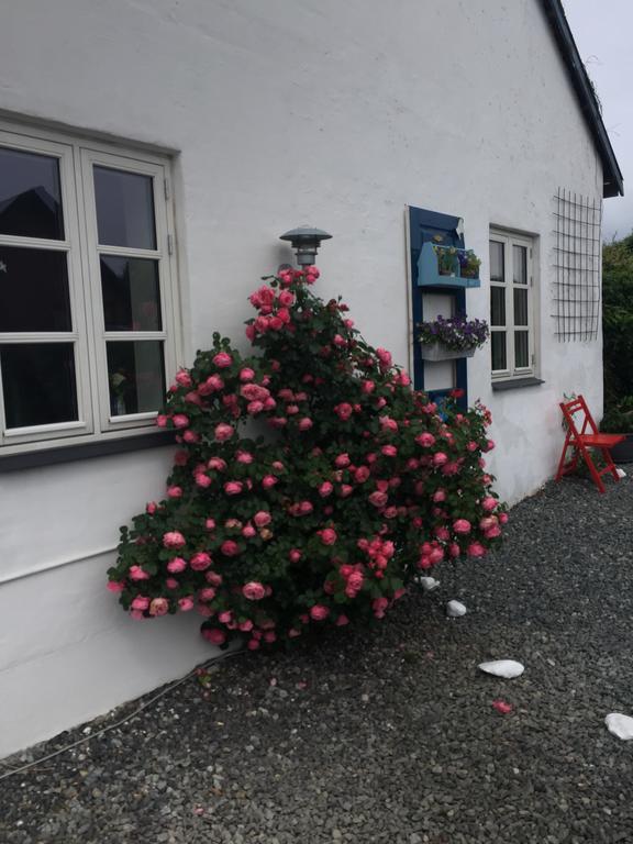 Vejle Golf * Børkop